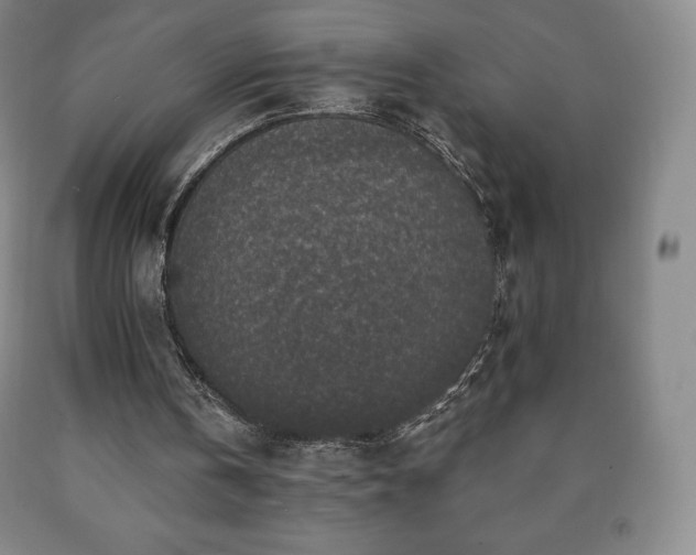 X0000090730146200707271411