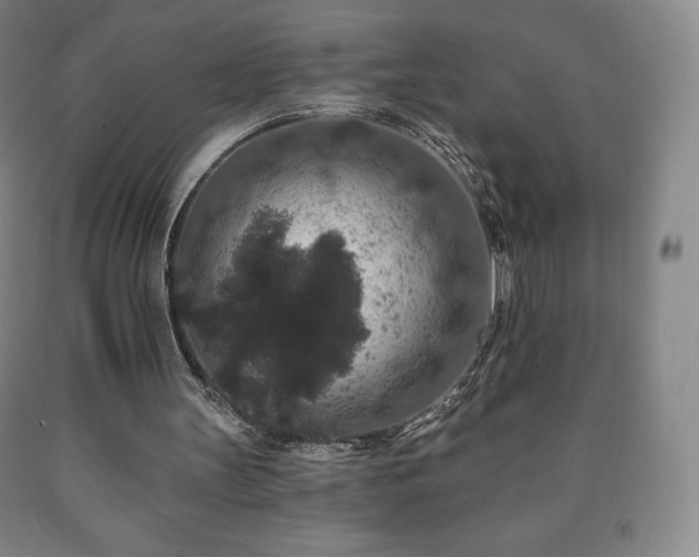 X0000090730147200707271411