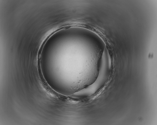 X0000090730148200707271411
