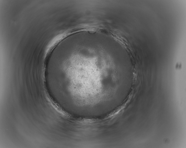 X0000090730149200707271411