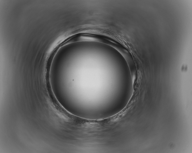 X0000090730150200707271411