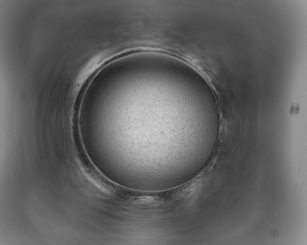 X0000090730151200707271411