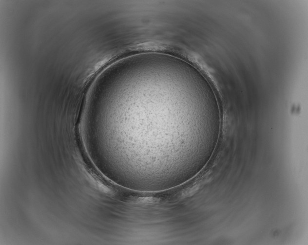 X0000090730153200707271411