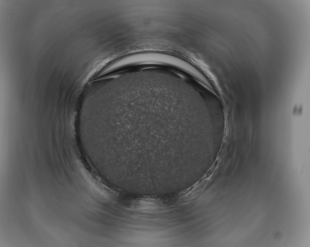 X0000090730154200707271411