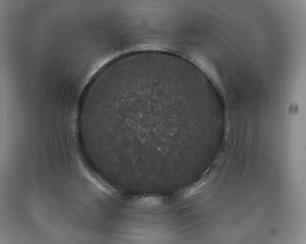 X0000090730156200707271411