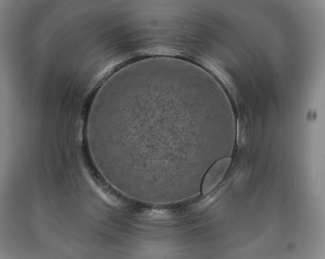 X0000090730157200707271411