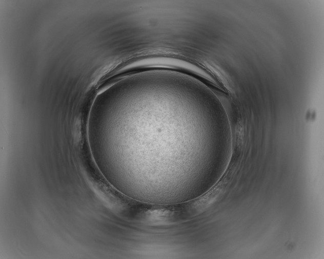X0000090730158200707271411