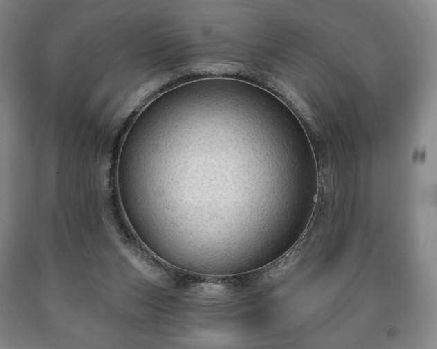 X0000090730159200707271411