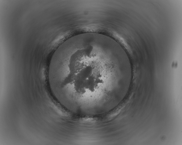 X0000090730161200707271411