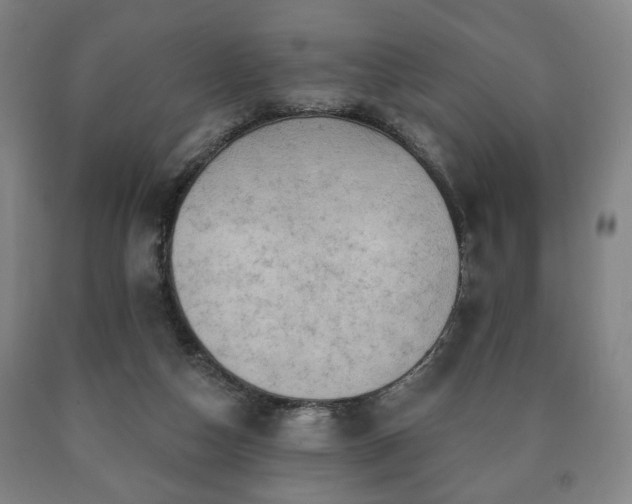 X0000090730162200707271411