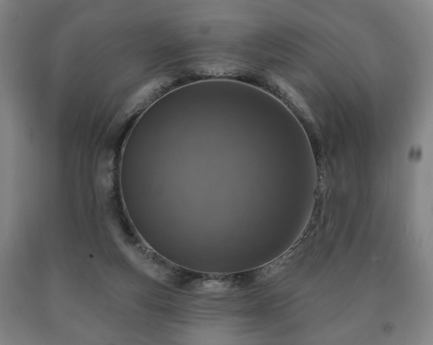 X0000090730163200707271411