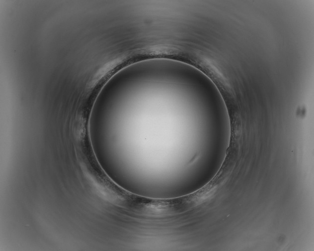 X0000090730164200707271411