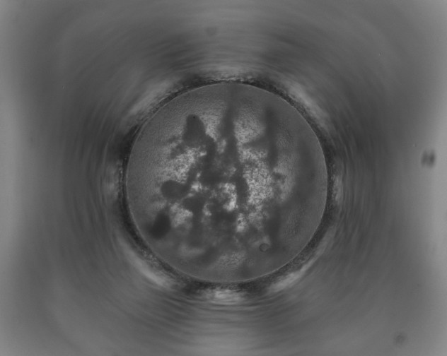X0000090730165200707271411