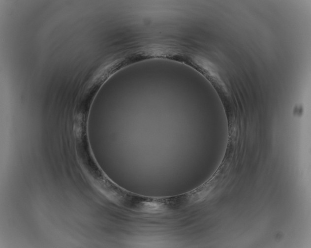 X0000090730167200707271411