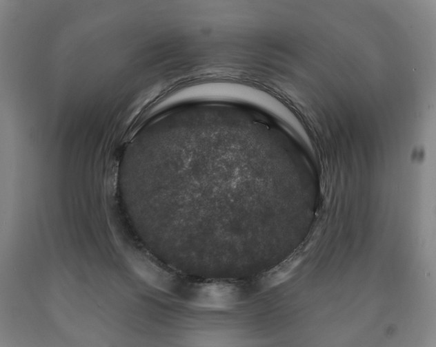 X0000090730168200707271411