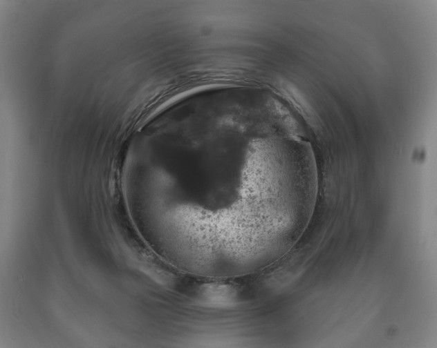 X0000090730169200707271411
