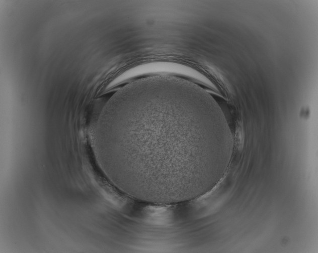 X0000090730170200707271411