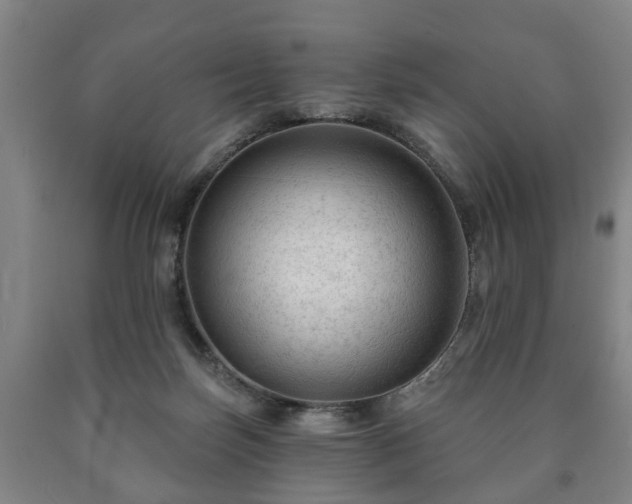 X0000090730171200707271411