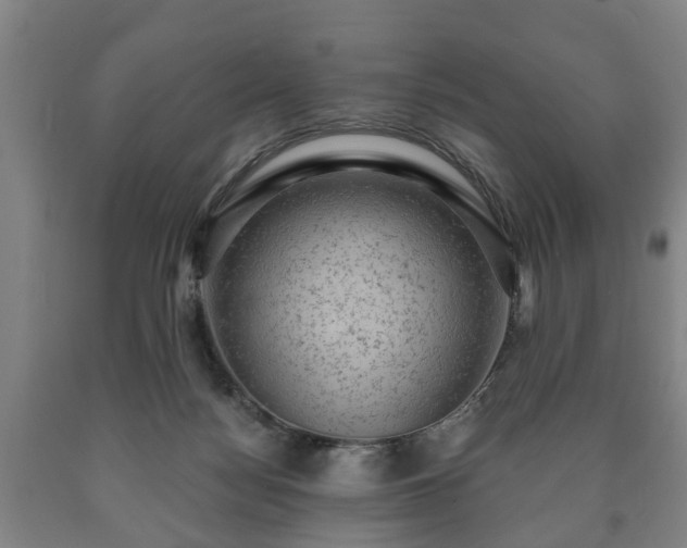 X0000090730172200707271411