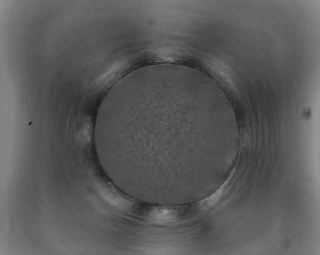 X0000090730174200707271411