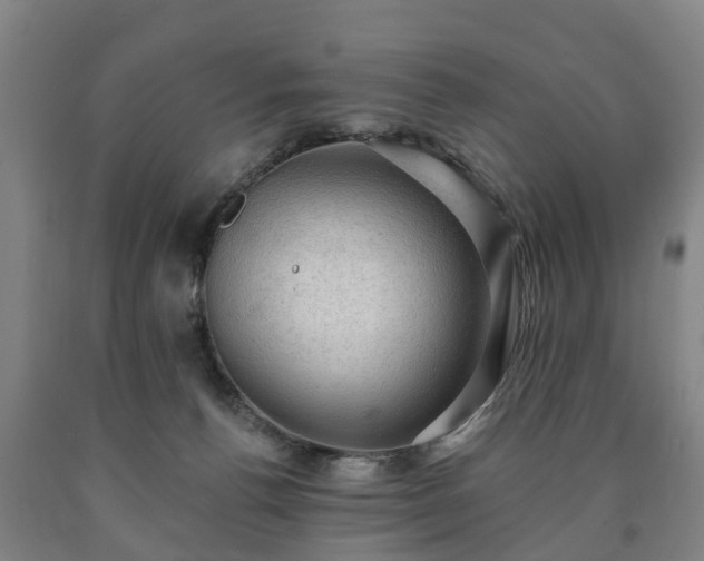 X0000090730176200707271411