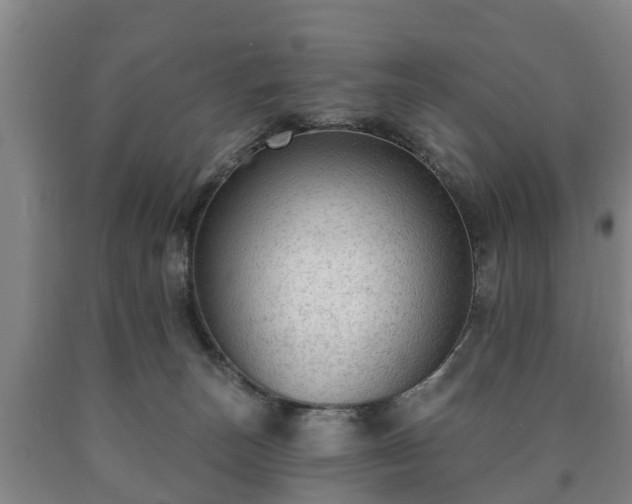 X0000090730179200707271411