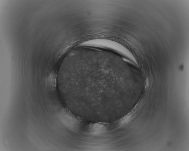 X0000090730180200707271411