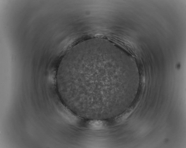 X0000090730181200707271411