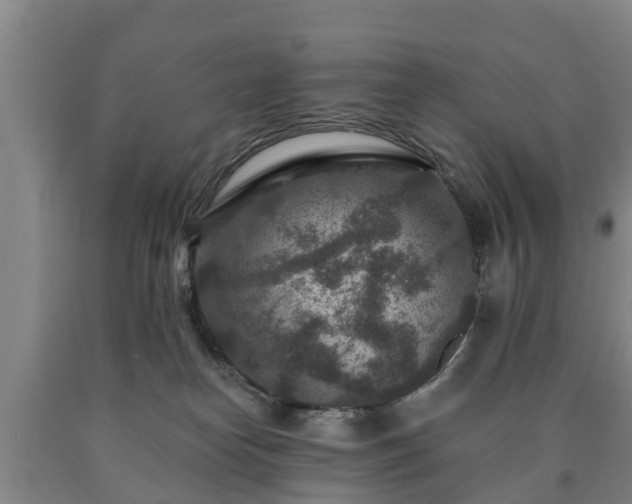 X0000090730182200707271411