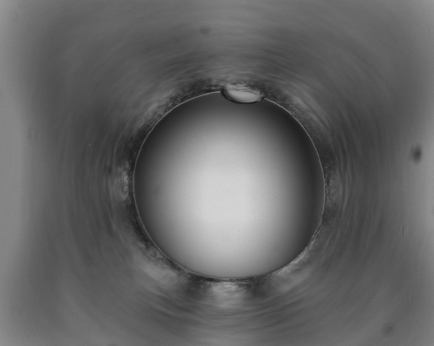 X0000090730183200707271411