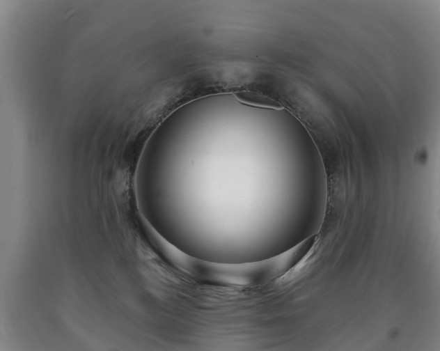 X0000090730184200707271411
