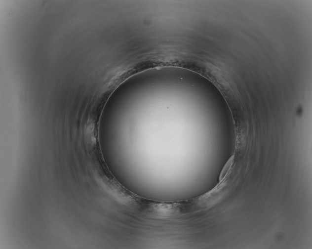 X0000090730187200707271411