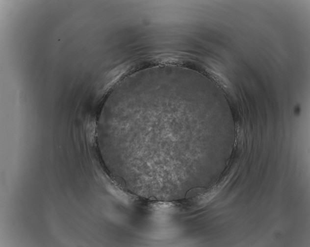 X0000090730189200707271411
