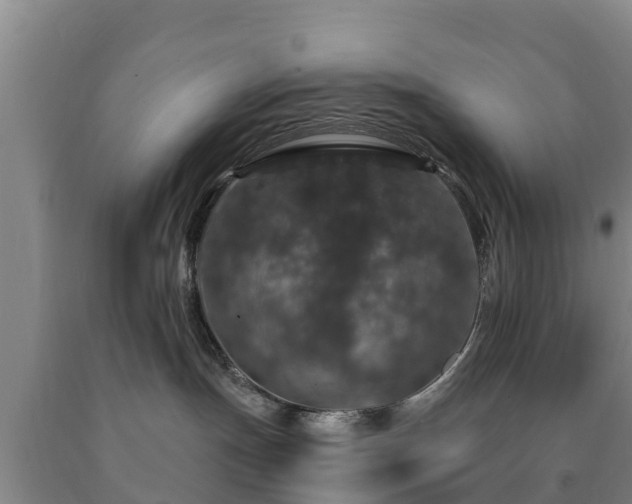 X0000090730191200707271412