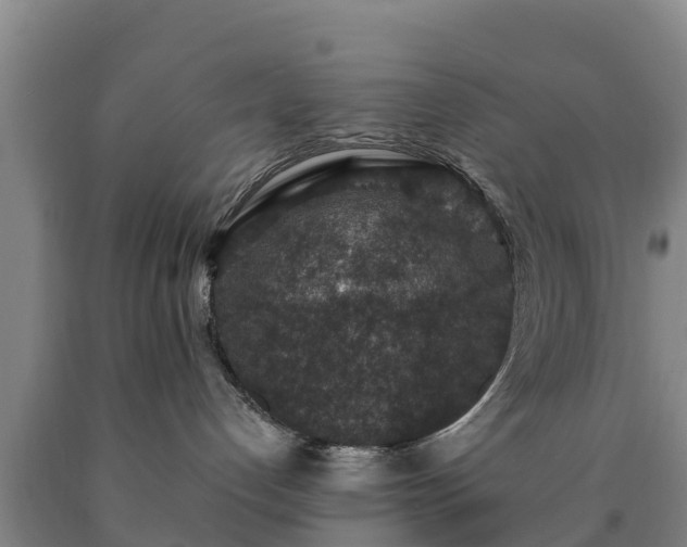 X0000090730192200707271412