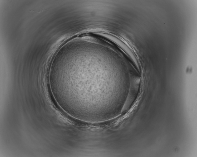 X0000090730193200707271411
