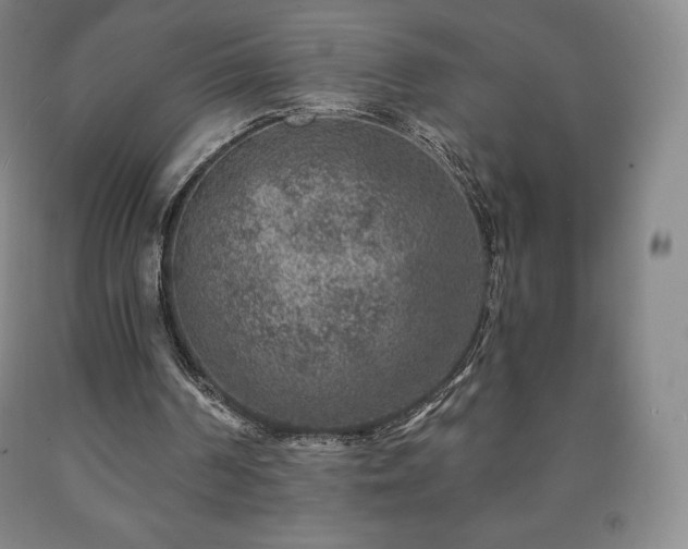 X0000090730194200707271411