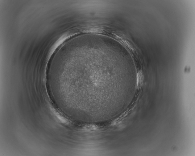X0000090730195200707271411