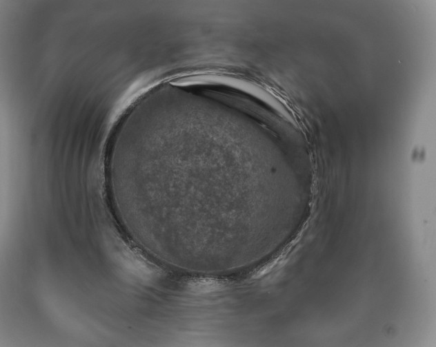 X0000090730198200707271411