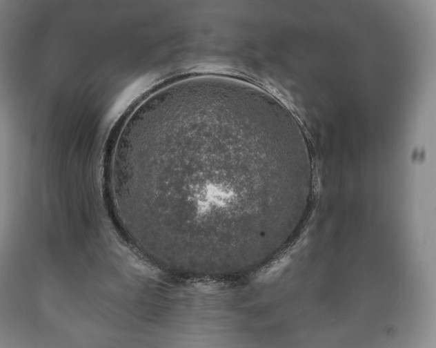 X0000090730199200707271411