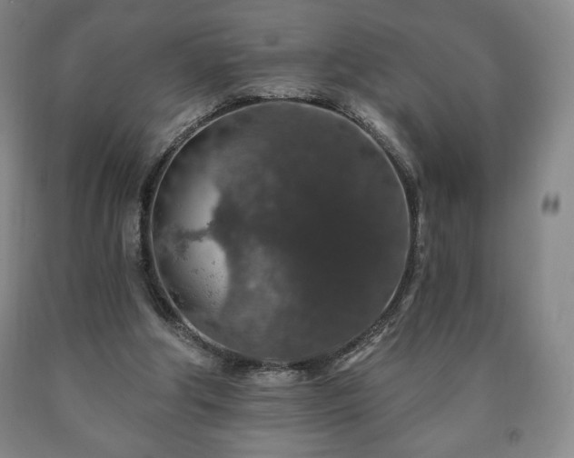 X0000090730202200707271411