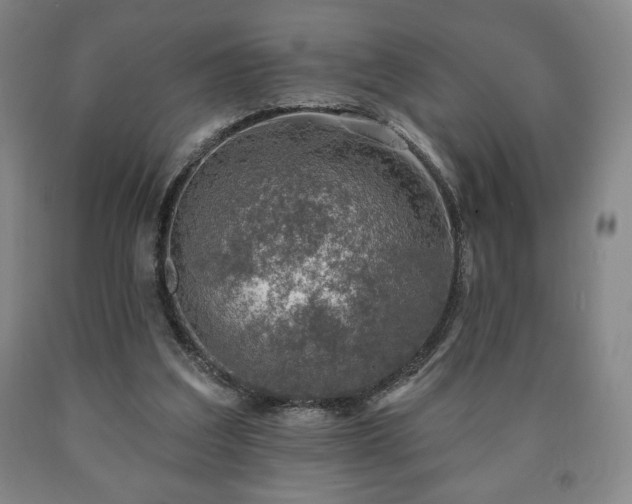 X0000090730203200707271411
