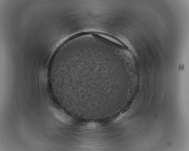X0000090730204200707271411