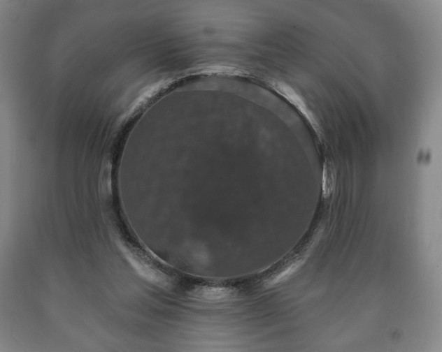 X0000090730205200707271411