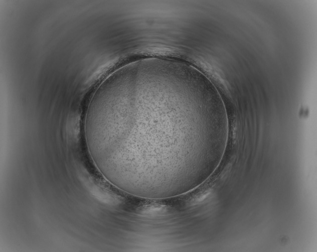 X0000090730206200707271411