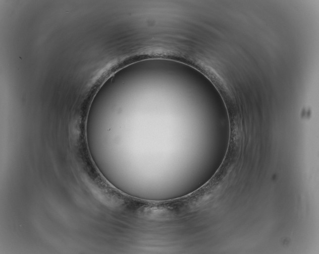 X0000090730208200707271411