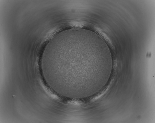 X0000090730209200707271411