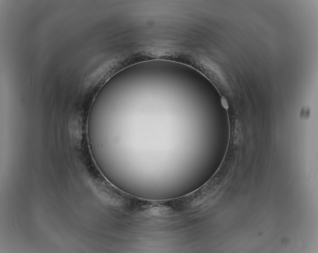 X0000090730210200707271411