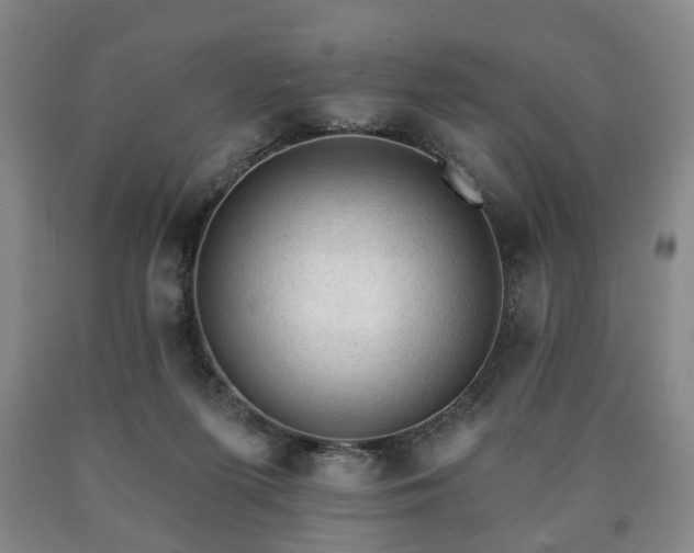 X0000090730215200707271411