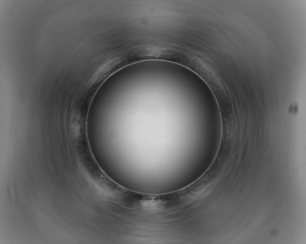 X0000090730216200707271411